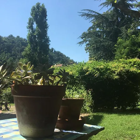 Casa Susanna Bed & Breakfast *